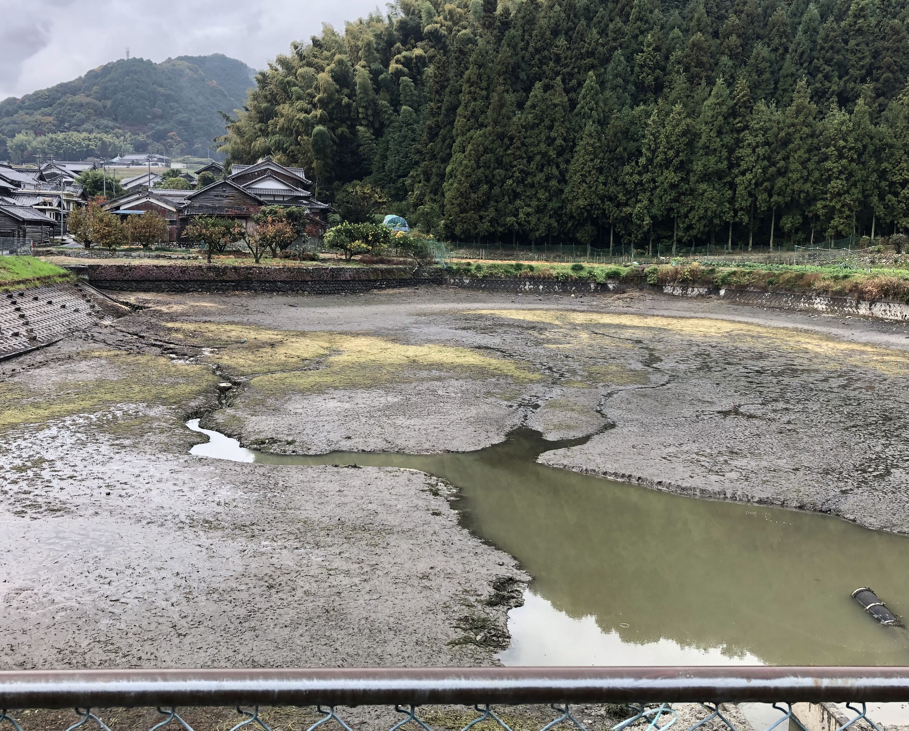 画像の説明